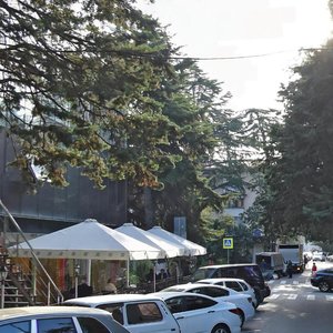 Parkovaya Street, 11, Sochi: photo