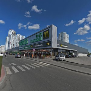 Mykoly Bazhana Avenue, 8, Kyiv: photo