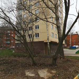 Vologdina Street, 1Б ، نيجني نوفغورود: صورة