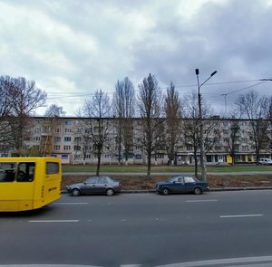 Ivana Vyhovskoho Street, 20, Kyiv: photo