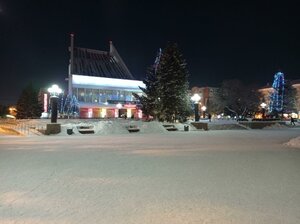 Dumskaya Street, 1, Omsk: photo