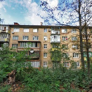 Siechenova Street, 10, Kyiv: photo
