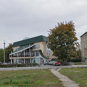 Naberezhna vulytsia, 7Д, Vyshhorod: photo