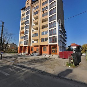 Vovchynetska vulytsia, 121, Ivano‑Frankivsk: photo