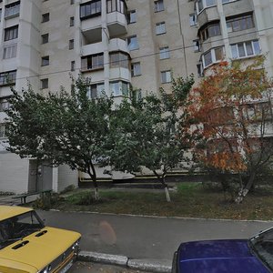 Vasylia Stusa Street, 9, : foto