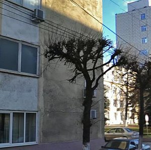 Seminarskaya Street, 32, : foto