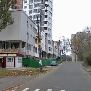 Oleksy Tykhoho Street, 5, Kyiv: photo