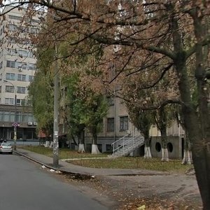 Maksyma Kryvonosa Street, 2Г, Kyiv: photo