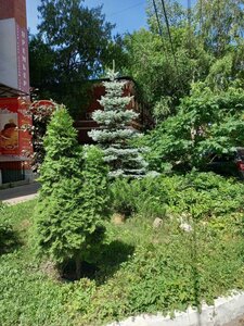Nikitinskaya Street, 30 ، سامارا: صورة