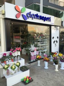 Mithatpasa Avenue, 237, Izmir: photo
