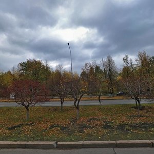 26th Complex, 5 ، نابريجني تشيلني: صورة