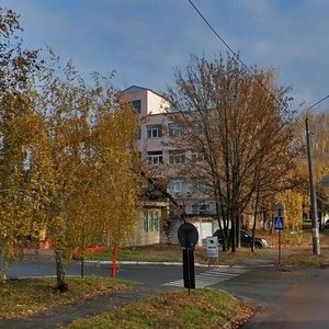 Oleksy Tykhoho Street, 96, Kyiv: photo