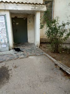 Khrustalyova Street, 165, Sevastopol: photo
