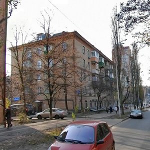 Profesora Pidvysotskoho Street, 10, Kyiv: photo