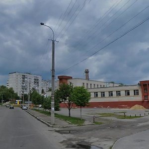 Verbova vulytsia, 20, : foto
