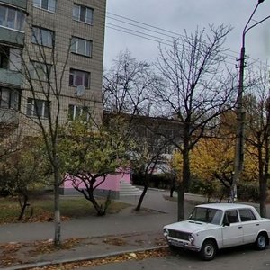 Sholom-Aleikhema Street, 3, Kyiv: photo