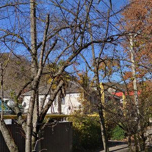 Armavirskaya ulitsa, 73, Sochi: photo