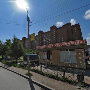 Колпино, Бульвар Трудящихся, 35к2: фото