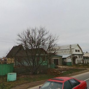 Нижегородская область, Деревня Опалиха, 10: фото