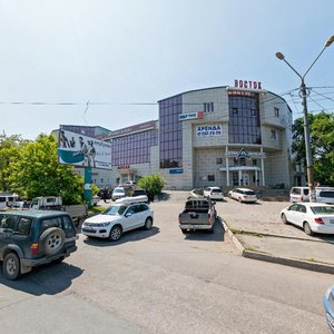 Владивосток, Некрасовская улица, 100: фото