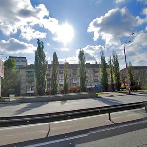 Druzhby Narodiv Boulevard, 8, Kyiv: photo