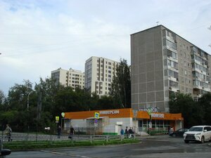 Bazhova Street, 161, Yekaterinburg: photo