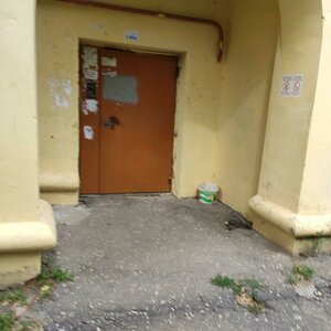 Traktornaya Street, 50, Vladimir: photo