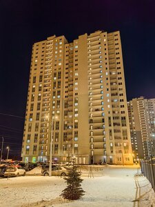 Санкт‑Петербург, Муринская дорога, 8к1: фото