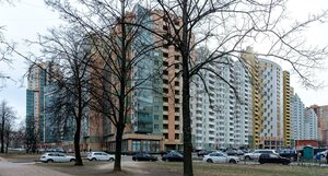 Kosmonavtov Avenue, 65к6, : foto