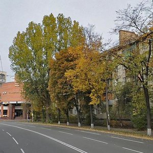 Ryzka Street, 8 ، كييف: صورة