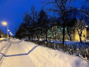 Орехово‑Зуево, Набережная улица, 3: фото