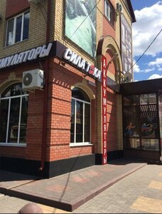 Воронеж, Курская улица, 66Б: фото