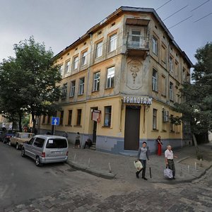 Vulytsia Sariana, 5, Lviv: photo