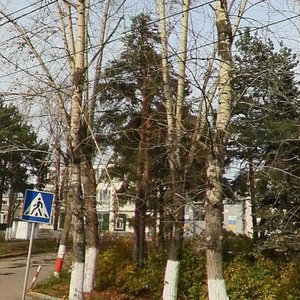Fedoseenko Street, 64к1, : foto