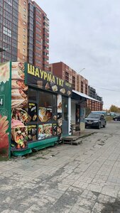 Klyuch-Kamyshenskoye Plato Street, 9к1, Novosibirsk: photo