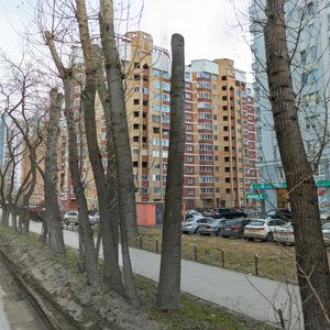 Melnikova Street, 20, Yekaterinburg: photo