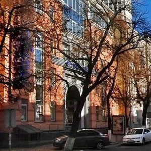 Sichovykh Striltsiv Street, 10Б, Kyiv: photo