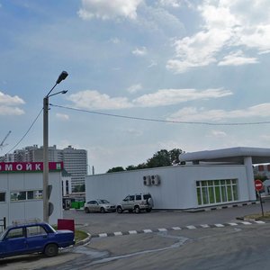 Shishkova Street, 140А, Voronezh: photo