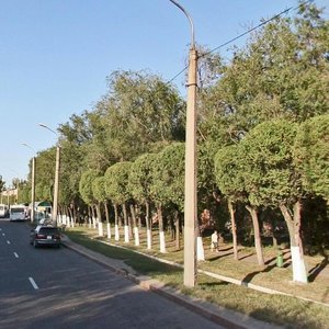 Beıimbet Maılın kóshesi, 214, Almaty: photo