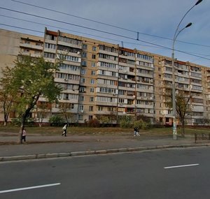 Heroiv Dnipra Street, 71, Kyiv: photo