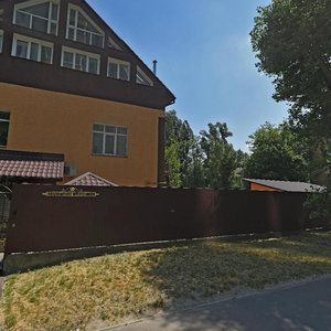 Kolomyiskyi Lane, 20, : foto