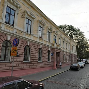 Shkilna vulytsia, 2, Chernivtsi: photo