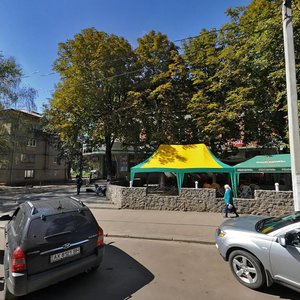 Arkhitektora Aloshyna avenue, 24, Kharkiv: photo