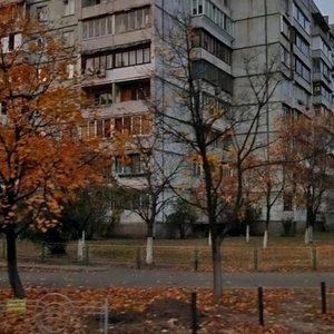 Marshala Tymoshenka Street, 3В, Kyiv: photo