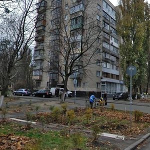 Preobrazhenska Street, 14, Kyiv: photo
