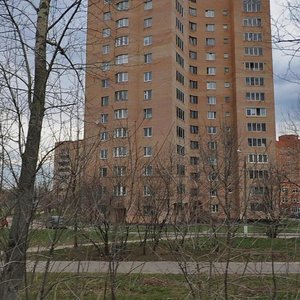 Mira Avenue, 21, Fryazino: photo