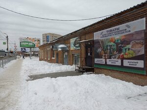 Бердск, Улица Красная Сибирь, 1/2: фото