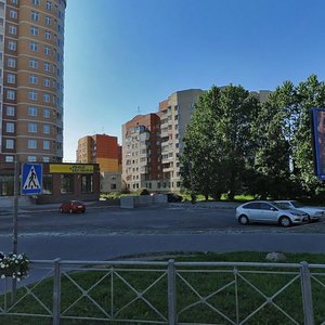 Сестрорецк, Улица Токарева, 6: фото