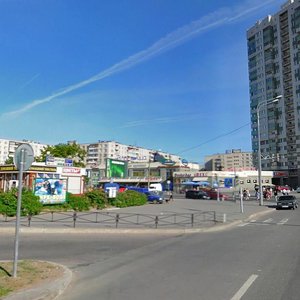 Oleko Dundicha Street, 17к1, Saint Petersburg: photo