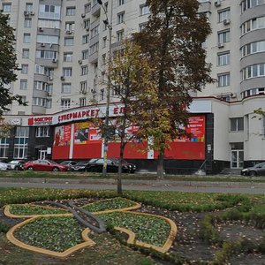 Holosiivskyi Avenue, 68А, Kyiv: photo